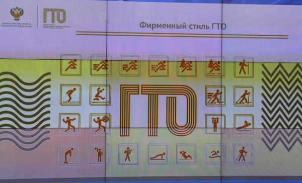            2016 