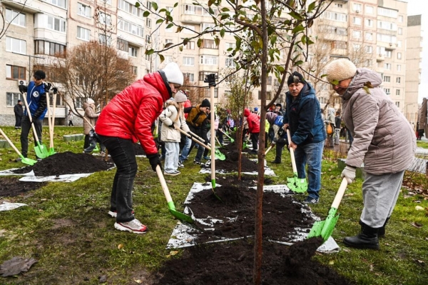 40 ������������ �������� ����������� � �������������� ������